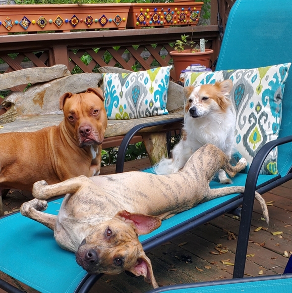 Meet Posher Terri's quality control team - Picture 4 of 5